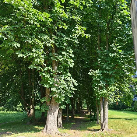 Lägenhet Luxury Chocolate Riga