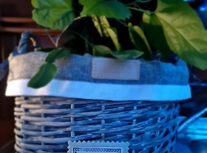 Luxury Chocolate アパート リガ