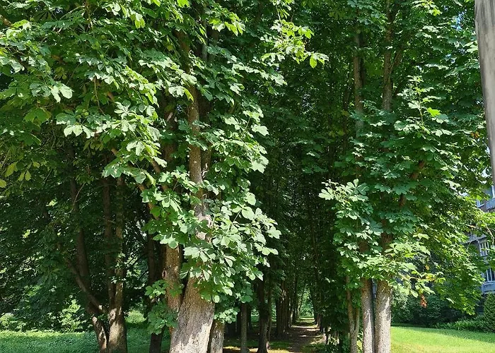 アパート Luxury Chocolate リガ